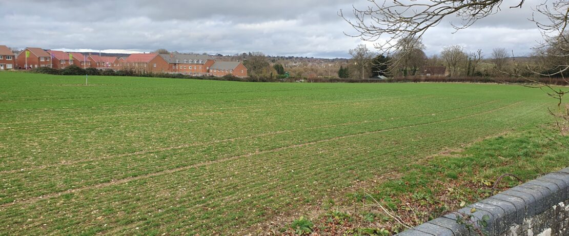 View north east from Ward’s Drove over development site, Blandford