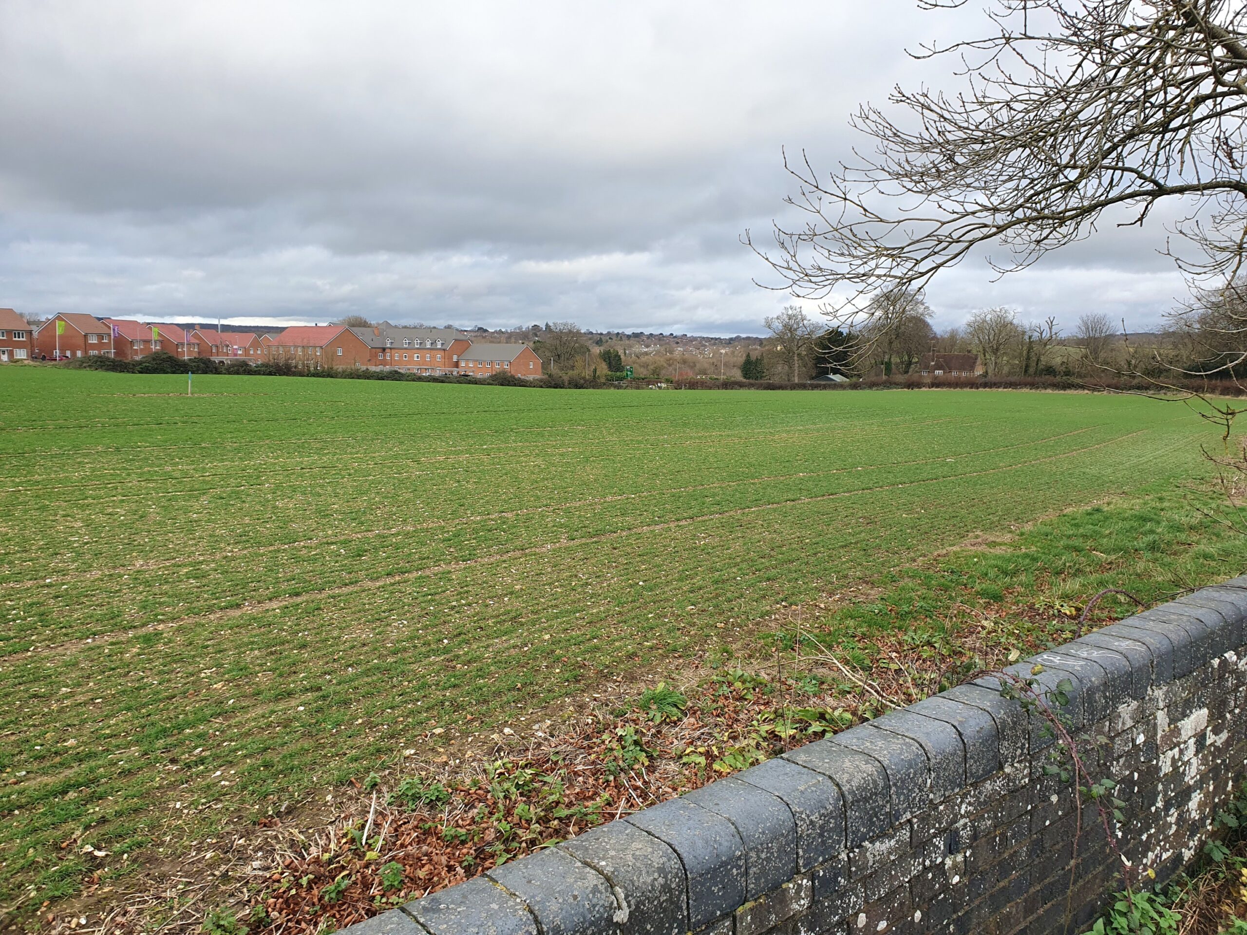 View north east from Ward’s Drove over development site, Blandford