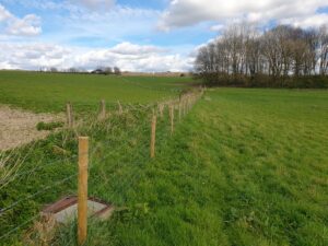 Dorset CPRE seeks sponsorship to plant hundreds of trees for centenary at Kingston Maurward, Dorchester