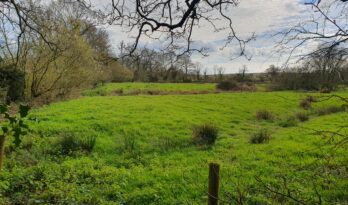 Dorset CPRE seeks sponsorship to plant hundreds of trees for centenary at Kingston Maurward, Dorchester
