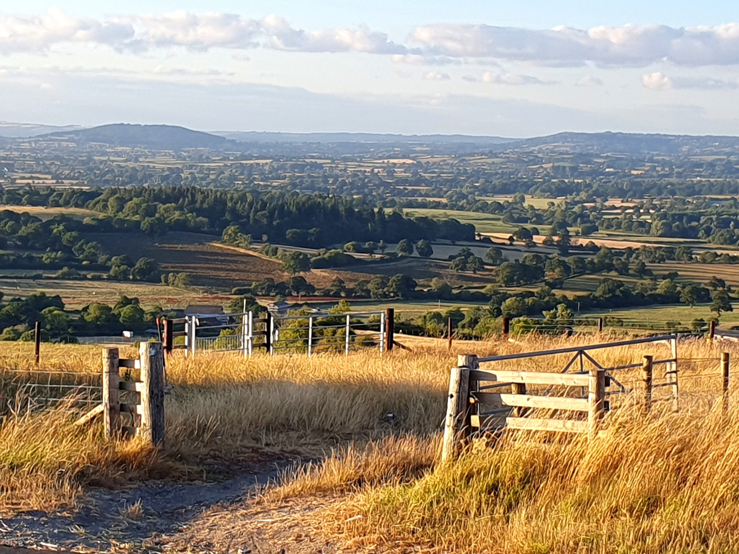 The Blackmore Vale looking north in the evening light from Okeford Hill