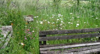Shipley Gardens, Holme Lacy